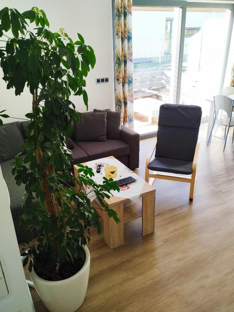 Apartman Dasa Frymburk Exteriör bild